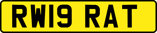 RW19RAT