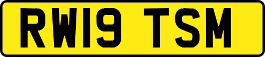 RW19TSM