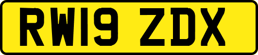 RW19ZDX