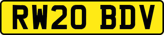 RW20BDV