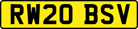 RW20BSV