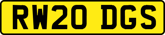 RW20DGS