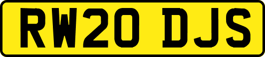 RW20DJS