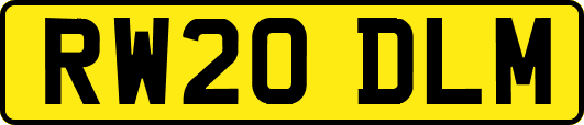 RW20DLM