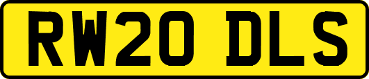 RW20DLS