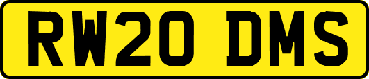 RW20DMS