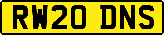 RW20DNS