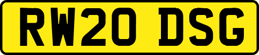 RW20DSG