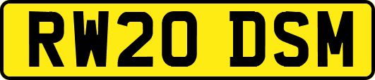 RW20DSM