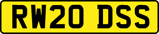 RW20DSS