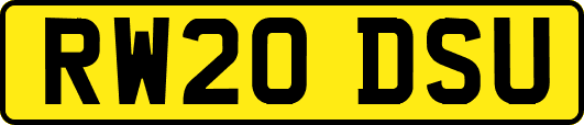 RW20DSU