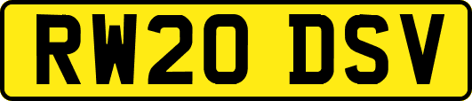 RW20DSV