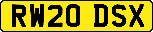 RW20DSX