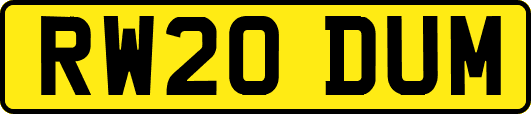RW20DUM