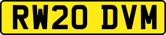 RW20DVM