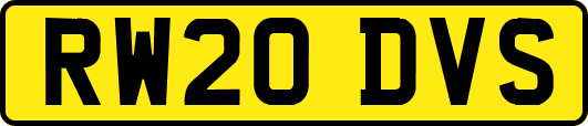 RW20DVS