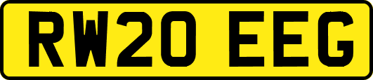 RW20EEG