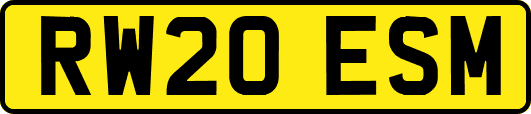 RW20ESM