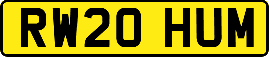 RW20HUM