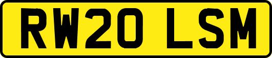 RW20LSM