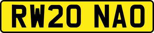 RW20NAO