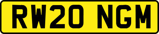 RW20NGM