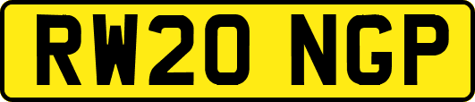 RW20NGP