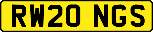 RW20NGS