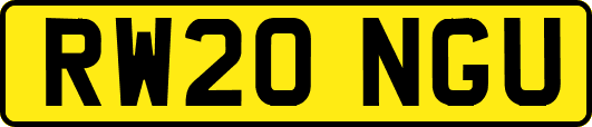 RW20NGU