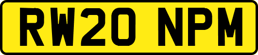 RW20NPM