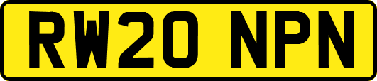 RW20NPN
