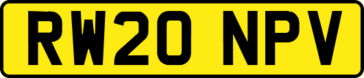 RW20NPV