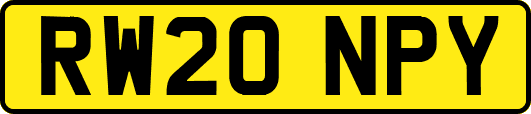 RW20NPY