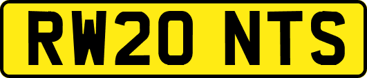 RW20NTS