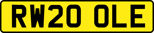 RW20OLE