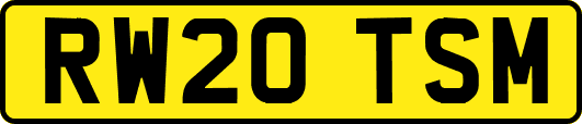 RW20TSM