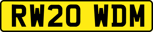 RW20WDM