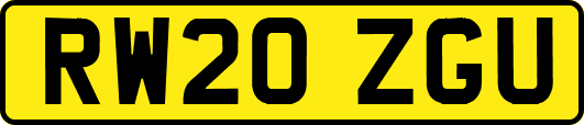 RW20ZGU