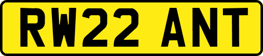 RW22ANT