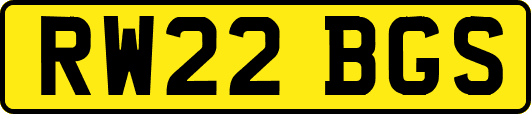 RW22BGS