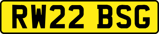 RW22BSG