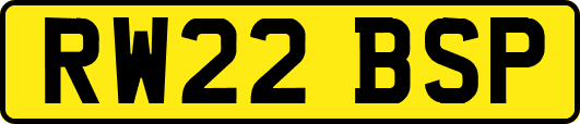 RW22BSP