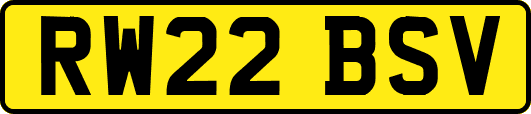 RW22BSV