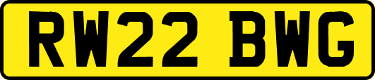 RW22BWG