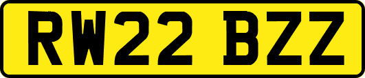 RW22BZZ