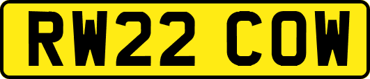 RW22COW