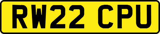 RW22CPU