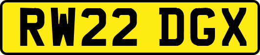 RW22DGX