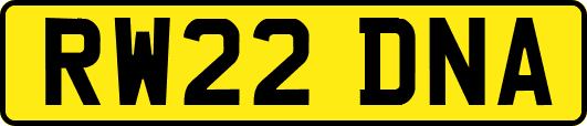 RW22DNA