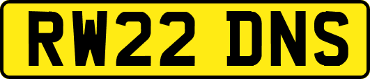 RW22DNS